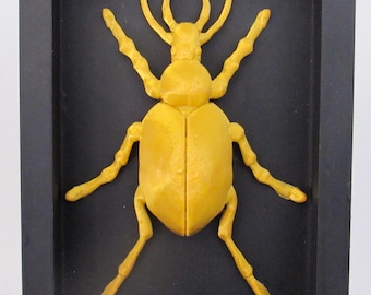 Golden Beetle Framed Wall Decor