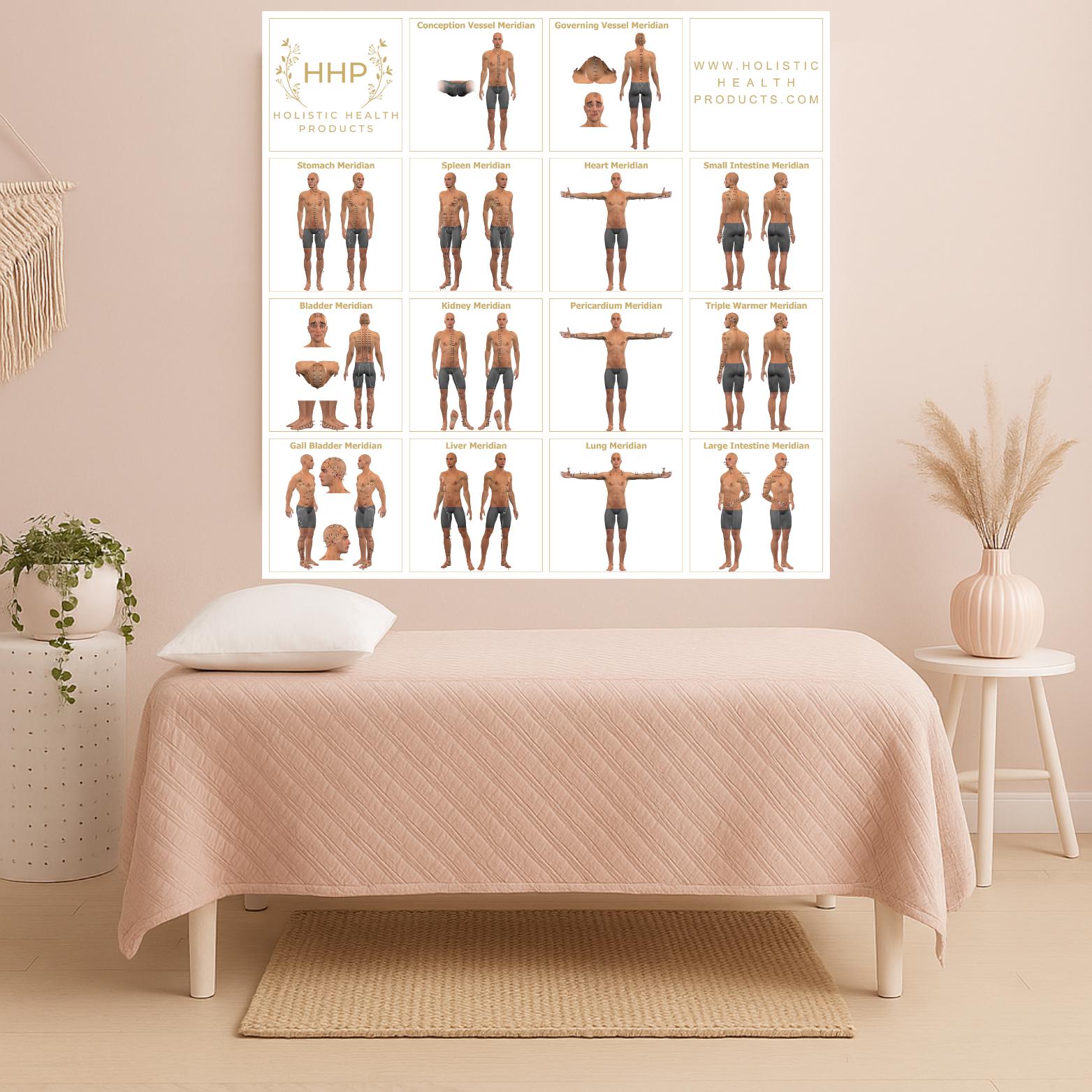 Acupuncture Chart Extra Large Full Color TCM Meridian Chart Acupuncture ...