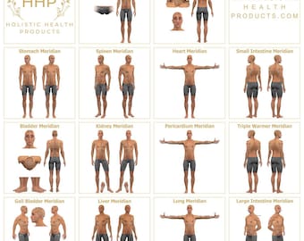 Acupunctuurgrafiek Extra grote full colour TCM-meridiaangrafiek acupunctuurposters acupunctuurmeridiaanpaden INSTANT DOWNLOAD