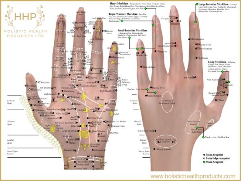Acupressure Hand Chart PNG Reflexology Meridian Points Digital 