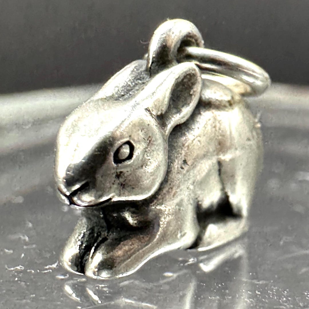 Retired James Avery 925 Sterling Silver Bunny Rabbit Charm Pendant - Etsy