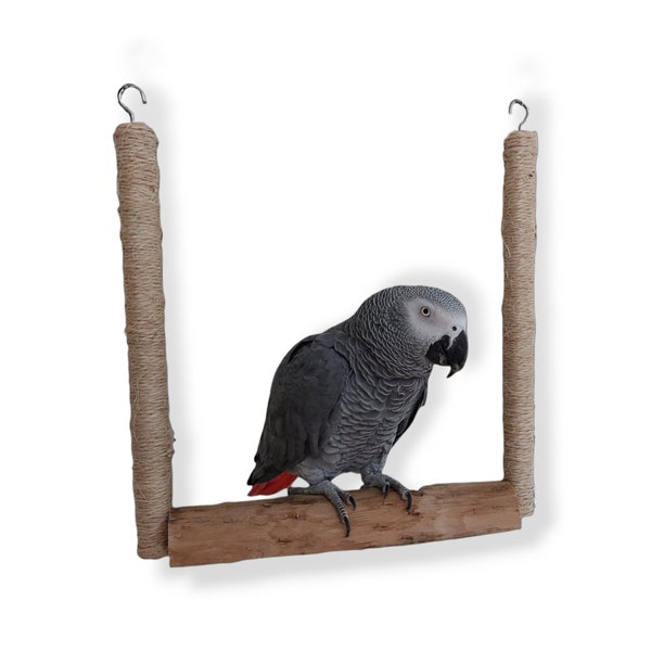 Large Macaw Swing Etsy UK