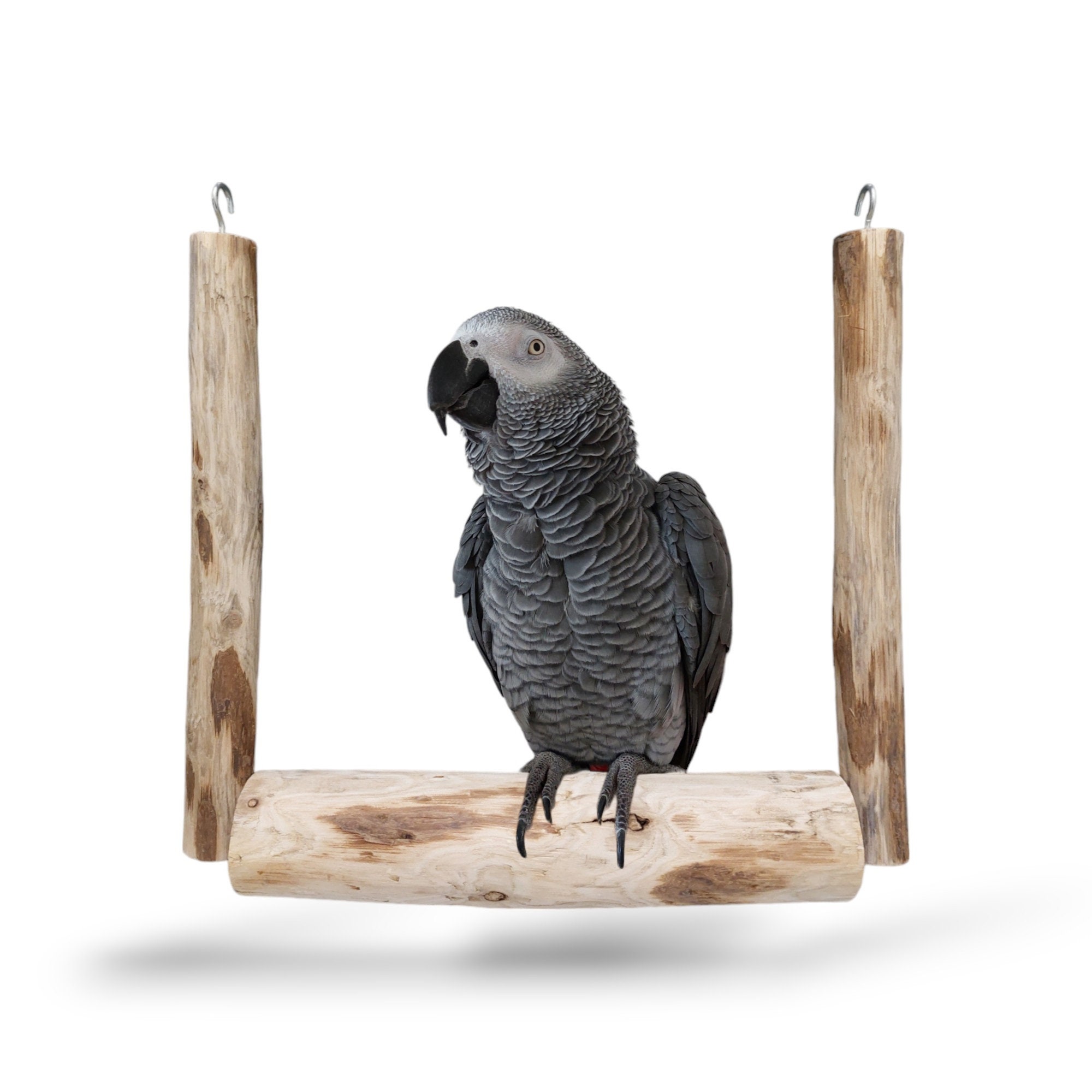 Parrot stand for african grey Etsy Mexico
