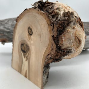 RONCE DE BOULEAU, pour votre prochain projet, matériau du manche de couteau, 100 % naturel, de Laponie suédoise, artisanat du bois, matériau du manche de couteau, bricolage