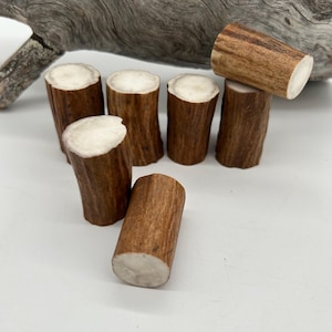 Può includere: Una collezione di sette masticabili per cani in corno di cervo marrone e bianco. I masticabili cilindrici hanno un esterno marrone chiaro e un interno bianco e poroso. Un masticabile è posizionato sopra altri due, mentre i restanti sono disposti intorno.