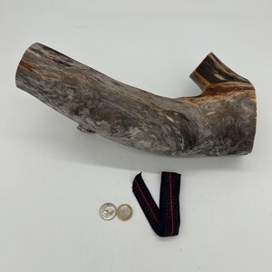 May include: A large piece of driftwood with a natural, weathered appearance. The wood is a mix of grey, brown, and tan hues. A small, dark blue and red patterned ribbon and two coins are also present.