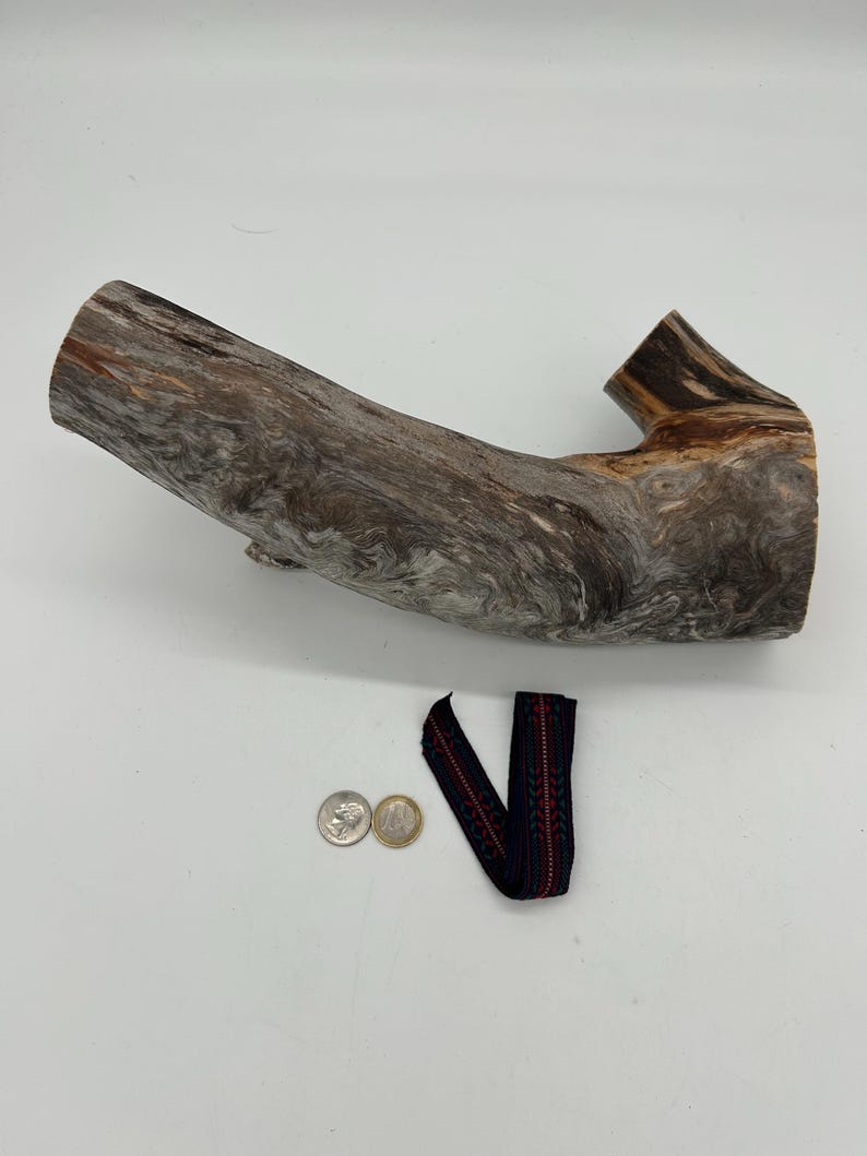 May include: A large piece of driftwood with a natural, weathered appearance. The wood is a mix of grey, brown, and tan hues. A small, dark blue and red patterned ribbon and two coins are also present.