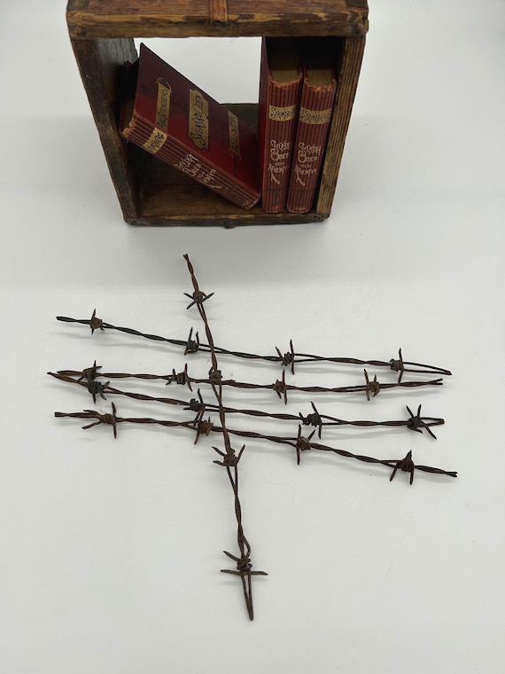 Rusty BARBED WIRE Vint. Industrial Farmhouse Decor, Art Creative