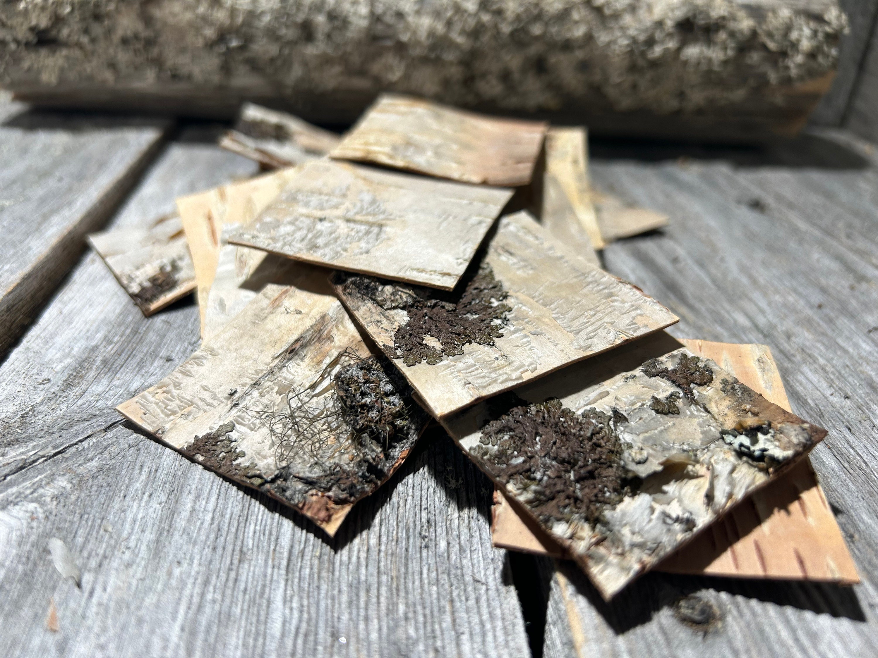 BIRCH BARK SHEETS, 20 Pieces Set, 100% Natural Product, 5x5 Cm/2x2 ...