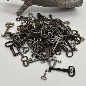 Könnte beinhalten: Eine Sammlung antiker Schlüssel in verschiedenen Größen und Designs. Die Schlüssel sind aus Metall und haben eine Vielzahl von Formen, darunter verzierte, Skelett- und einfache Stile. Die Schlüssel sind in Silber-, Bronze- und Schwarztönen.