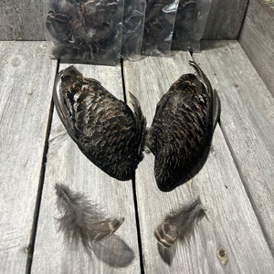 Black Grouse a pair of wings, Black grouse soft feather set, from Lappland of Sweden, fly tying, craft supplying, our supply-your project zdjęcie 3