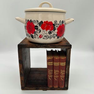 May include: Cream-colored enamelware pot with a lid, adorned with red floral designs and black leaves. The pot has two side handles and a top handle. It sits on a rustic wooden crate with three vintage books.