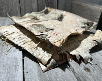 LARGE BIRCH BARK sheet, 100% natural product, hand made, from Lappland in Sweden, Betula Pubescens birch tree, Glass Birch