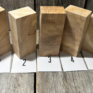 BLOC DE RONDE DE BOULEAU/pièce, 5 types, pour votre prochain projet, matériau du manche de couteau, 100 % naturel, préparé pour la stabilisation, 1 pièce