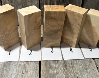 May include: Five unfinished wooden blocks, each with a unique grain pattern, are arranged on a weathered wooden surface. The blocks are numbered 1 through 5 on individual white cards. The wood has a light, natural color.