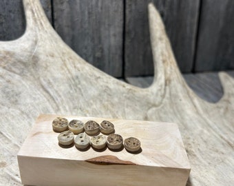 MOOSE ANTLER BUTTON, 100% natural product, hand made, from Lappland in Sweden, 1 piece