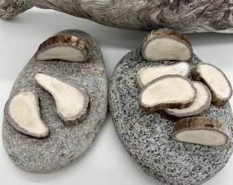 Handmade Moose Antler Slice: Natural Craft Supply from Lappland, Sweden