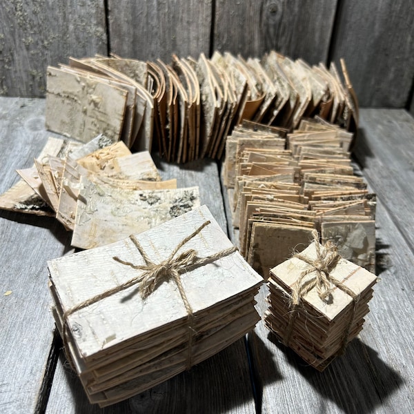 BIRCH BARK SHEETS, 20 Pieces set, 2 different sizes, 8,5x5,5 cm and 3,5x3,5cm  from Lappland in Sweden, Betula Pubescens/Glass birch