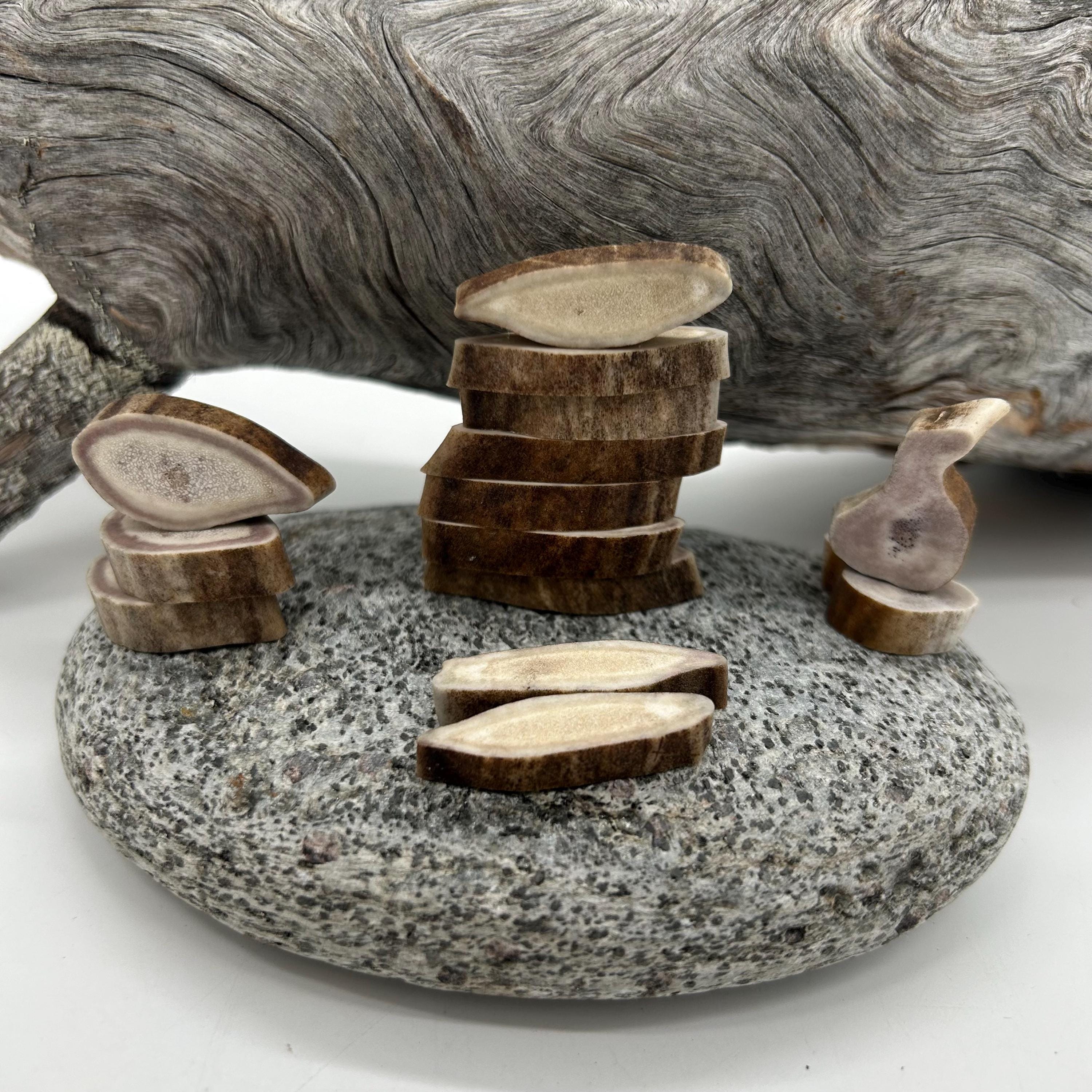 Larger REINDEER ANTLER Slice, 3 different shapes, 100% natural product, hand made, from Lappland in Sweden, 1 slice/piece, DIY