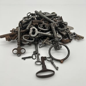 Könnte beinhalten: Ein Haufen antiker Schlüssel in verschiedenen Größen und Designs. Die Schlüssel bestehen aus Metall und weisen Alters- und Abnutzungserscheinungen auf, mit einer Farbpalette von Silber bis Dunkelbraun. Einige Schlüssel haben verzierte Details, andere sind einfach gestaltet.