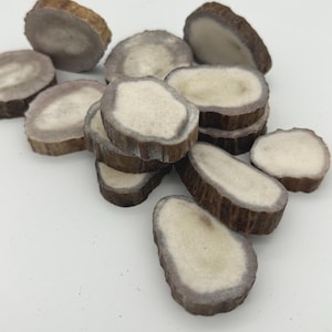 Tranche de bois d'orignal faite main : artisanat naturel de Laponie