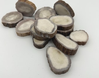 Handmade Moose Antler Slice: Natural Lappland Craft Supply