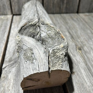 May include: A weathered, gray piece of driftwood with a knot and a split at the end. The wood's texture is rough and aged, showcasing natural grain patterns. The cut end reveals concentric growth rings.