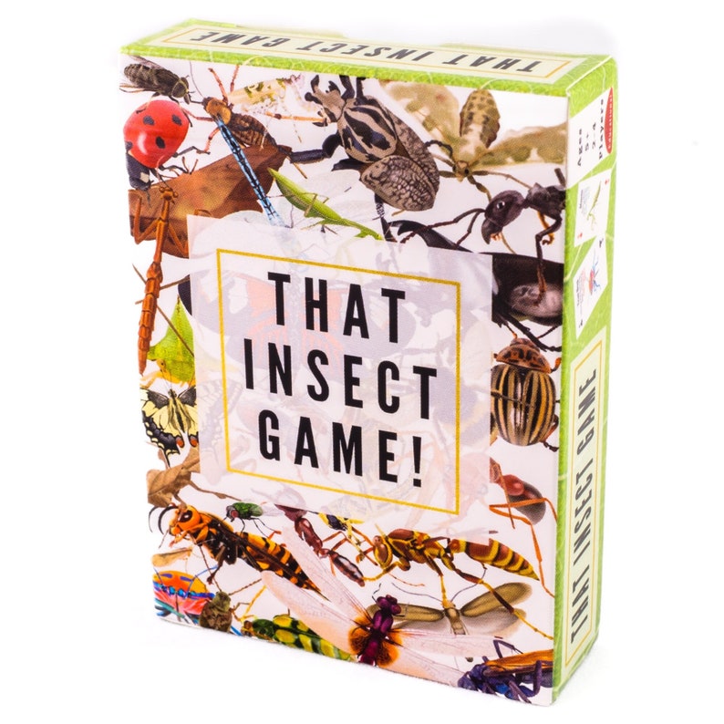 Insect Card Game: Educational Bug Matching for Kids & Adults - Etsy
