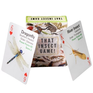 Single Insectos Cards Insect Card Game: Educational Bug Matching for Kids & Adults - Etsy