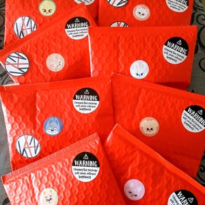 Ma pochette suprise / blind bag /  Porte-clé SKZOO à lanière + goodies