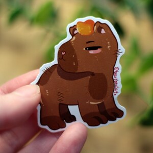 Chibi Capybara - originele kunststicker