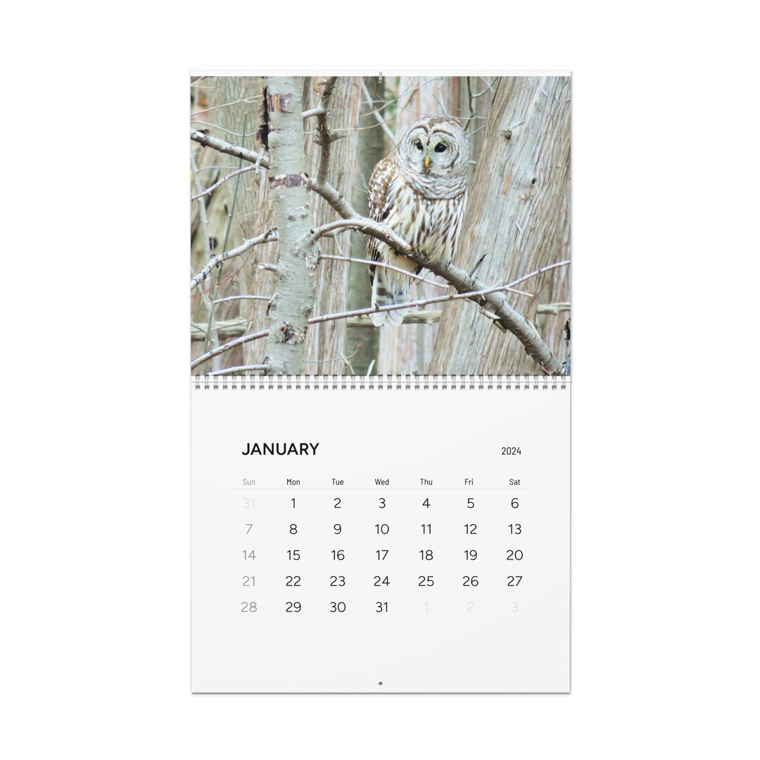 Bird Calendar 2024 Etsy
