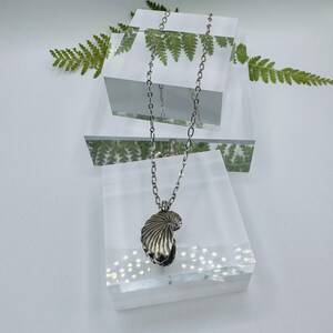 May include: A silver-toned necklace featuring a pendant shaped like a textured seashell. The pendant hangs from a delicate silver-toned metal chain with oval links. The design captures the natural ridges and curved form of a shell in metallic silver.
