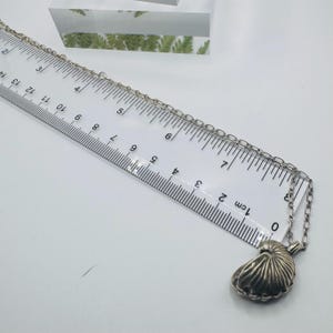May include: A silver-toned necklace featuring a nautilus shell pendant, positioned alongside a ruler that shows the chain length extending past 14 inches. The pendant has a ribbed, fan-like texture and is attached to a simple metal link chain.