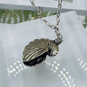 May include: A silver-toned metal nautilus shell pendant suspended from a matching oval link chain. The shell features a textured, ribbed surface with a dark oxidized finish in the crevices and a small, clear stone accent at the top bail.