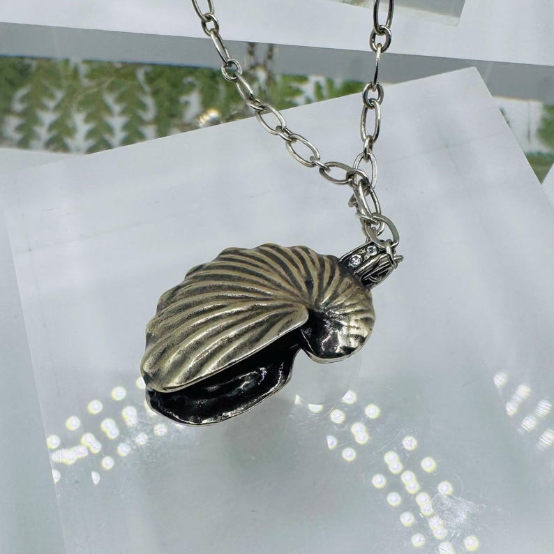 May include: A silver-toned metal nautilus shell pendant suspended from a matching oval link chain. The shell features a textured, ribbed surface with a dark oxidized finish in the crevices and a small, clear stone accent at the top bail.