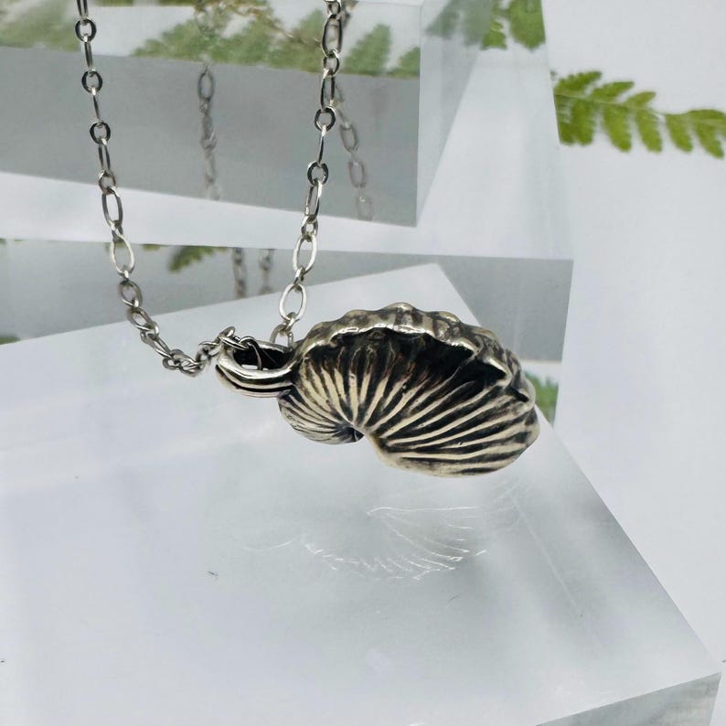 May include: A silver-toned metal pendant shaped like a nautilus shell, featuring deep, radiating grooves and a textured surface. The pendant is attached to a delicate, thin silver-toned metal chain with oval-shaped links, creating a cohesive piece.