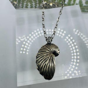 May include: A silver-toned necklace featuring a pendant shaped like a nautilus shell with deep, textured ridges. The pendant is attached to a silver-toned oval link chain and includes a small bail accented with tiny, clear, sparkling stones.