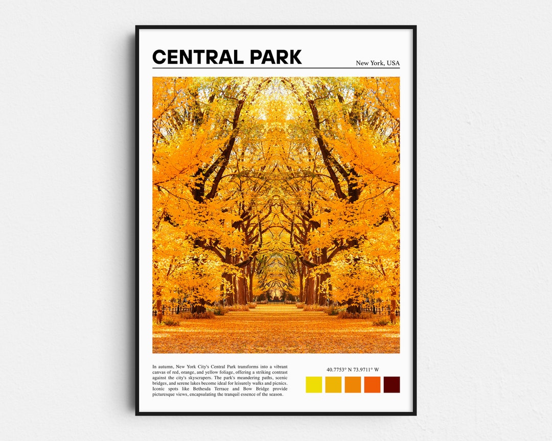 Central Park Print Central Park Wall Art Central Park Etsy