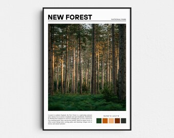 Impresión del Parque Nacional New Forest, póster de viaje de Hampshire