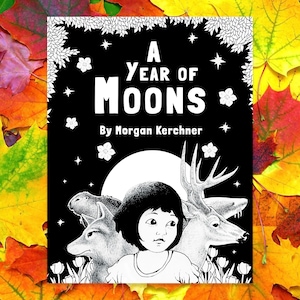 A Year of Moons