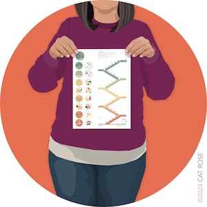 May include: A white poster with a colourful graphic of a staircase with five levels. Each level has a circle with a number and a list of foods. The poster is titled "5 A Day" and has the text "START HERE" at the bottom.