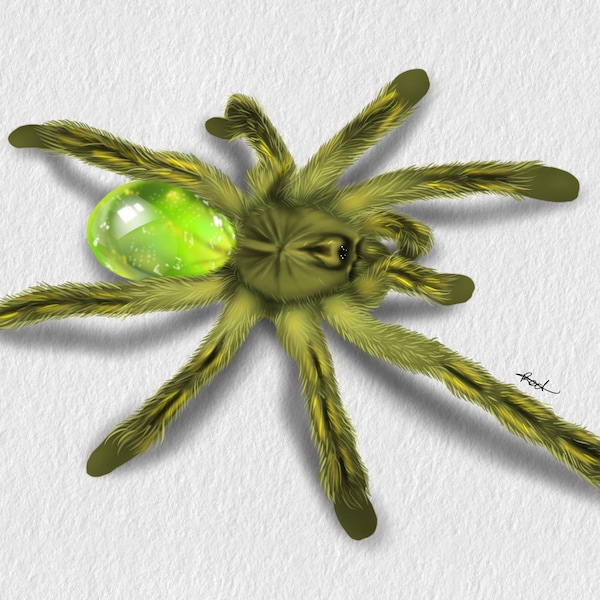 Birthstone Tarantula Fine Art Prints 8 x 12 July-December