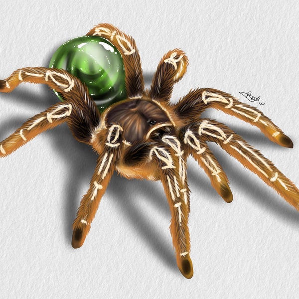 Birthstone Tarantula Fine Art Prints 8 x 12 January-June