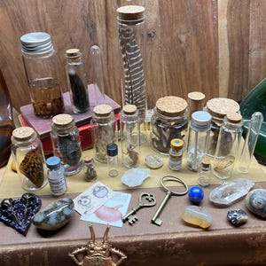 Large Curiosity Kit - Includes a Wet Specimen, Oddities, Curiousities, and Collectibles