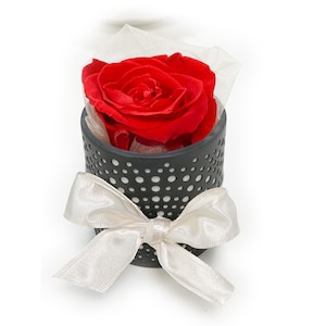 Real Rose in Porcelain Tealight Holder Gift Set Decoration Preserved Flower Flower Arrangement