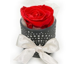 Rose in a porcelain vessel gift decoration preserved flower floral arrangement