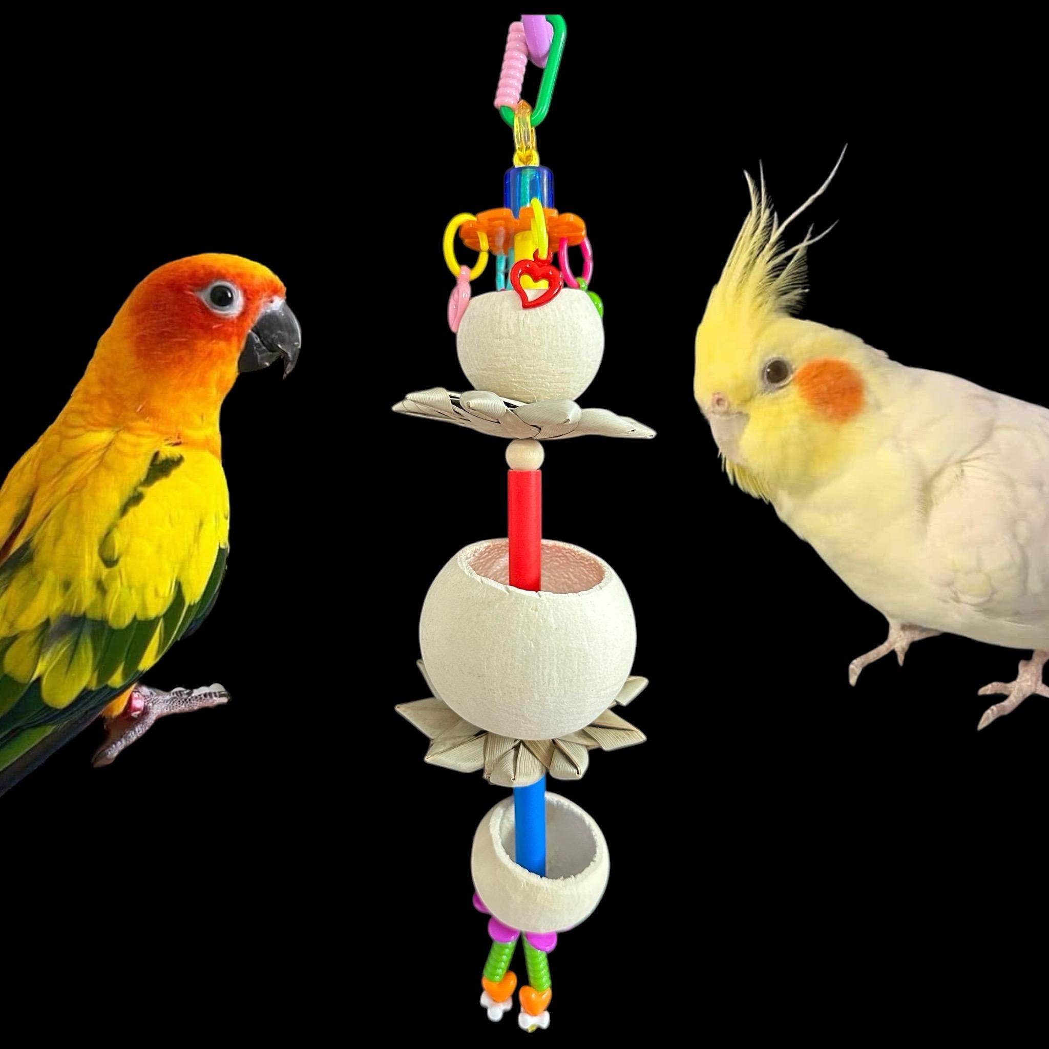Jungle Bounty Forager Bird Toy