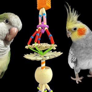 Wonderland Foraging Bird Toy
