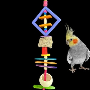 Treasure Scoop Foraging Bird Toy